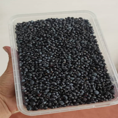 زرشک سیاه  پاک شده 